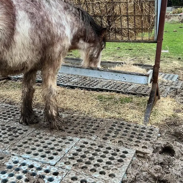 Mud control grid for feeding and watering areas
